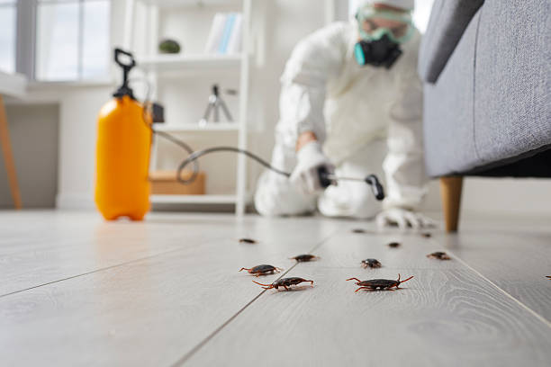 Post-Treatment Bed Bug Interceptor Monitoring in East Grand Forks