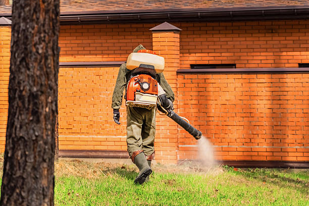 Bed Bug Clearance Verification and Documentation in East Grand Forks